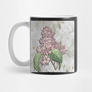 Lilacs White & Purple Spring & Summer Home Decor & Gifts Mug